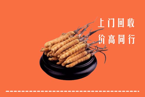 九江濂溪回收散虫草