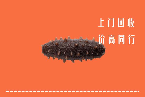 九江濂溪回收海参